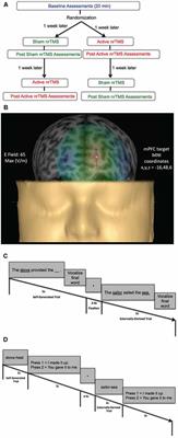 Establishing a Causal Role for Medial Prefrontal Cortex in Reality Monitoring